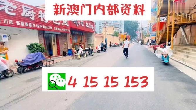 新澳天天开好彩大全，快速设计问题战略，特供版54.421